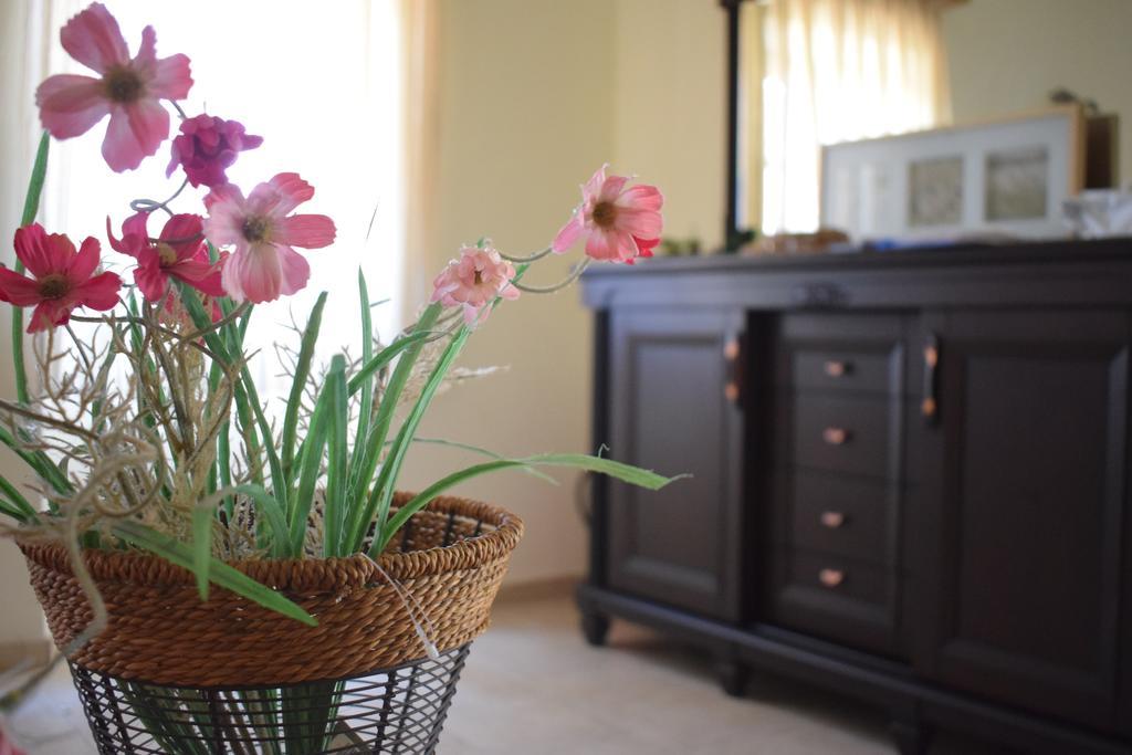 Olive Villas Anapaftíria Dış mekan fotoğraf